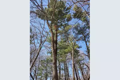 Lot 18 N4Xx 297th Street, Eau Galle, WI 54737 - Photo 18