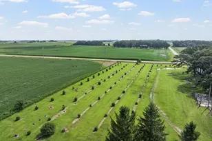 24975 Mower Freeborn Rd, Austin, MN 55912 - Photo 32