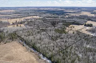 9377 E Wood Lot 1 (Parcel 1) Rd, Poplar, WI 54864 - Photo 1