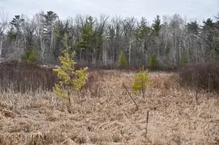 15324 61st Ave, Milaca, MN 56353 - Photo 24