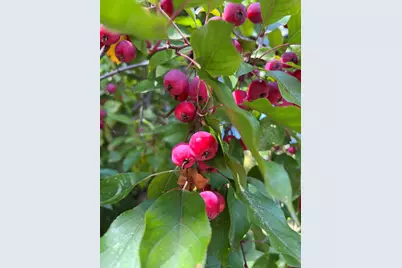 14199 Riverbend Trail, Rocksbury Twp, MN 56701 - Photo 8