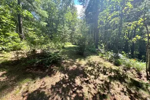 6438 Ponderosa Dr NW, Walker, MN 56484 - Photo 40