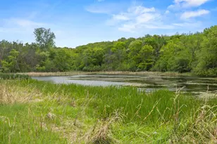 2591 Carver Ave E, Maplewood, MN 55119 - Photo 62