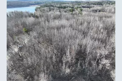 Tbd Bass Lake Road, Osage Township, MN 56570 - Photo 4