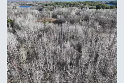 Tbd Bass Lake Road, Osage Township, MN 56570 - Photo 6