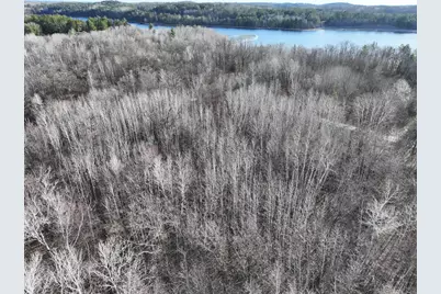 Tbd Bass Lake Road, Osage Township, MN 56570 - Photo 1