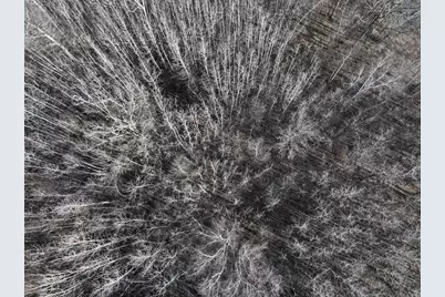 Tbd Bass Lake Road, Osage Township, MN 56570 - Photo 10