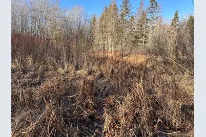 Tbd Bass Lake Road, Osage Township, MN 56570 - Photo 18