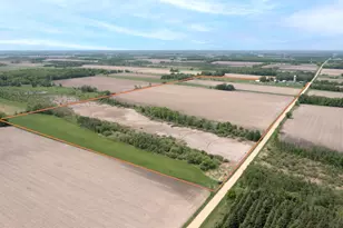 41936 County 75, Bertha, MN 56437 - Photo 6