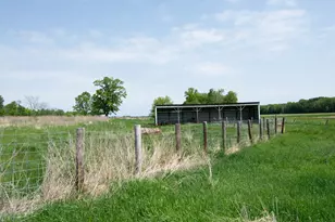 41936 County 75, Bertha, MN 56437 - Photo 14