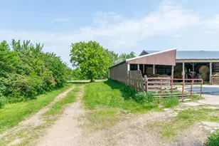41936 County 75, Bertha, MN 56437 - Photo 20