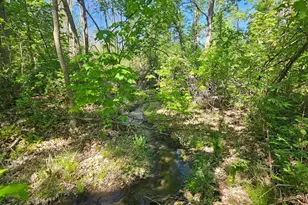 Tbd Cr-13 Rd, Grey Eagle, MN 56336 - Photo 6