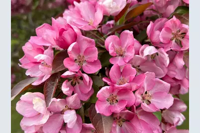 3512 Ahola Rd., Brimson, MN 55602 - Photo 24