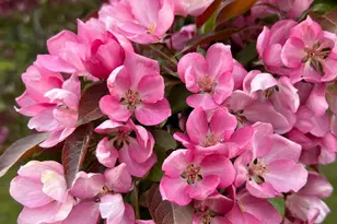 3512 Ahola Rd, Brimson, MN 55602 - Photo 24