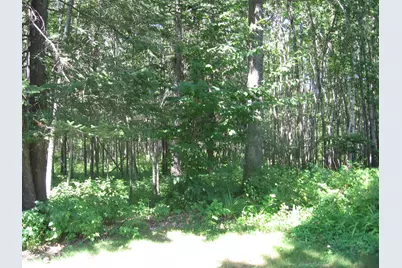 3677 County Road 54 NE, Longville, MN 56655 - Photo 44