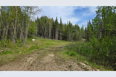 7316 Crane Lake Road, Crane Lake, MN 55725 - Photo 20