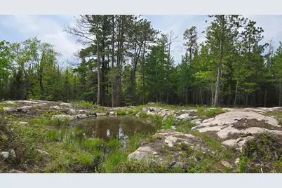 7316 Crane Lake Road, Crane Lake, MN 55725 - Photo 4