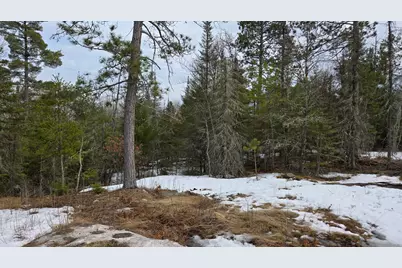 7316 Crane Lake Road, Crane Lake, MN 55725 - Photo 4