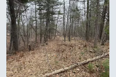 Tbd Miller Bay Lane, Hackensack, MN 56452 - Photo 12