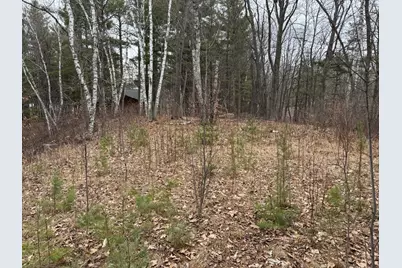 Tbd Miller Bay Lane, Hackensack, MN 56452 - Photo 14