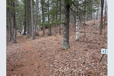 Tbd Miller Bay Lane, Hackensack, MN 56452 - Photo 20