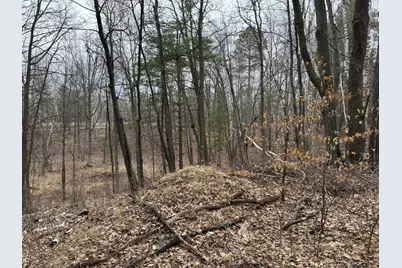 Tbd Miller Bay Lane, Hackensack, MN 56452 - Photo 16