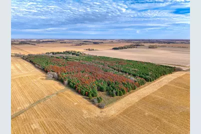 Xxx Lot #12 110th Avenue, Hammond, WI 54015 - Photo 2