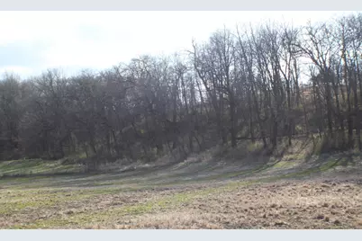 Xxxxc Kings Park Road NW, Oronoco Township, MN 55960 - Photo 6