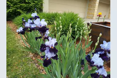 685 Hidden Creek Trail, Mendota Heights, MN 55118 - Photo 78