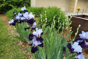 685 Hidden Creek Trail, Mendota Heights, MN 55118 - Photo 78