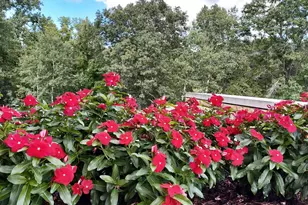 685 Hidden Creek Trail, Mendota Heights, MN 55118 - Photo 32