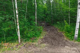 Lot 12 Cr-30, Crosby, MN 56441 - Photo 1