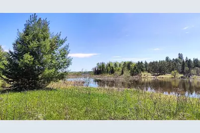 80052 Tamarack Trail, Tower, MN 55790 - Photo 20