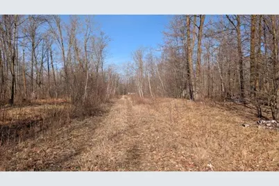 Tbd Lacy Lane, Pequot Lakes, MN 56472 - Photo 1