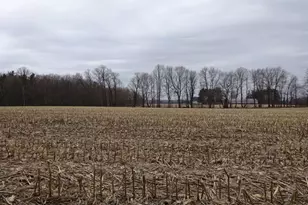 338 40th St, Clear Lake, WI 54005 - Photo 36