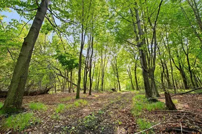 25431 Larch Street NW, Isanti, MN 55040 - Photo 54