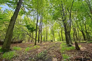 25431 Larch St NW, Isanti, MN 55040 - Photo 54