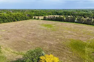 25431 Larch St NW, Isanti, MN 55040 - Photo 32