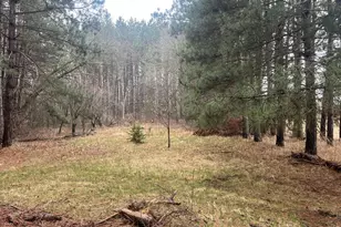 Xxxxx Old 67 Rd, Henning, MN 56551 - Photo 1