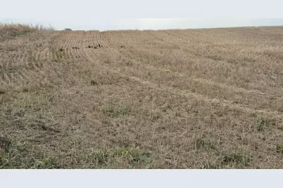 (Lot A) Tbd 100th Avenue, Barnesville, MN 56514 - Photo 6
