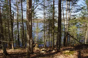 Lot 4 Crane Ln, Hayward, WI 54843 - Photo 1