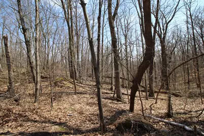 Xxx Lake Camille Dr., Randall, MN 56475 - Photo 12