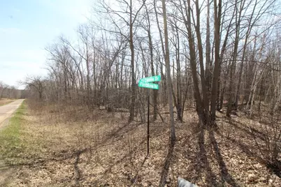 Xxx Lake Camille Dr., Randall, MN 56475 - Photo 14