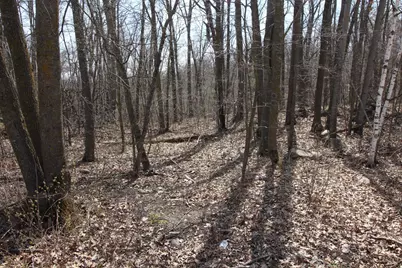 Xxx Lake Camille Dr., Randall, MN 56475 - Photo 2