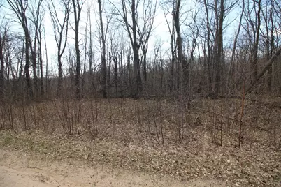 Xxx Lake Camille Dr., Randall, MN 56475 - Photo 6