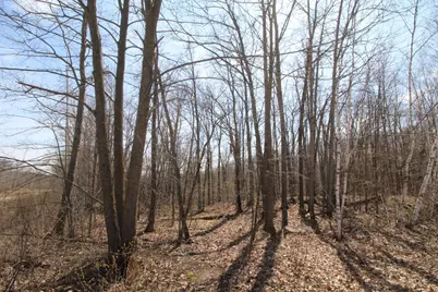 Xxx Lake Camille Dr., Randall, MN 56475 - Photo 1