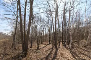 Xxx Lake Camille Dr, Randall, MN 56475 - Photo 1