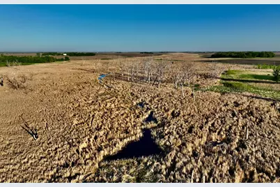 2200 216th Street, Madison, MN 56256 - Photo 28