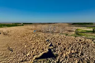 2200 216th St, Madison, MN 56256 - Photo 28