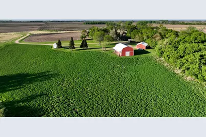 2200 216th Street, Madison, MN 56256 - Photo 4